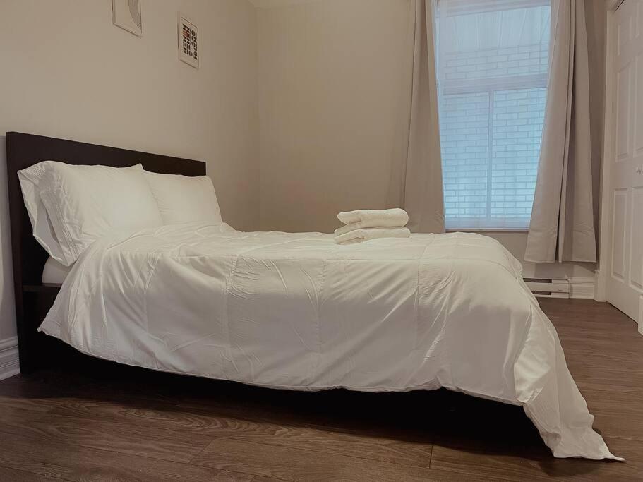 Spacieux Appartement De 3 Chambres Downtown 몬트리올 외부 사진